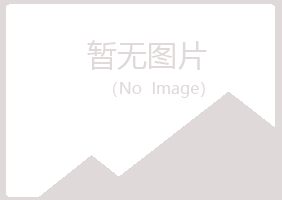 黑山县友易木材有限公司